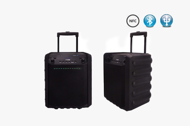 T-80B Bluetooth PA Speakers System with Wheels
